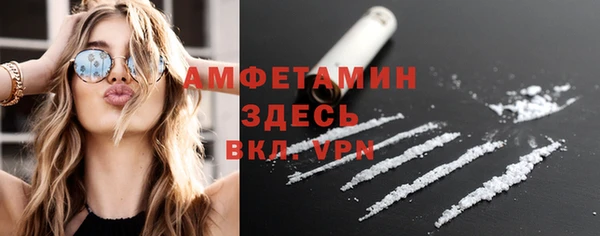 шишки Гусев