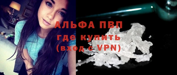 шишки Гусев