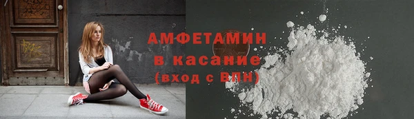 шишки Гусев