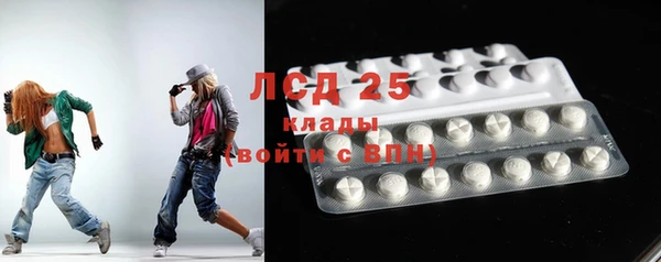 шишки Гусев