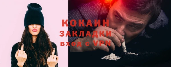 шишки Гусев