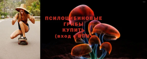 спиды Гусиноозёрск