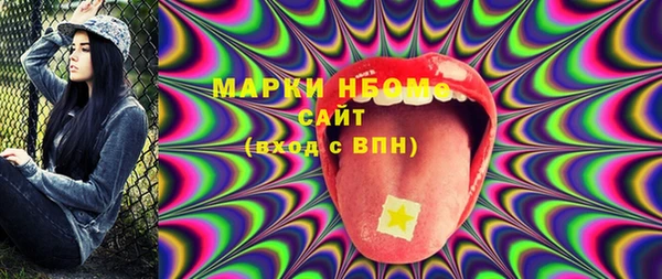 шишки Гусев