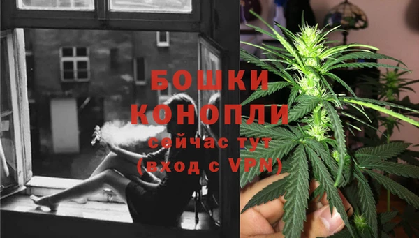 шишки Гусев