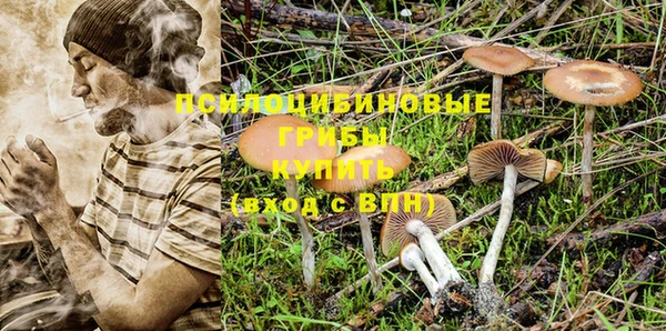 шишки Гусев