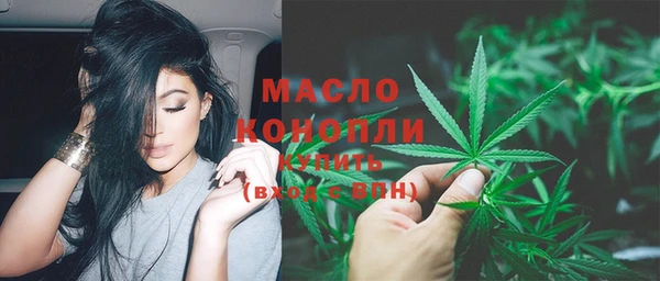 шишки Гусев